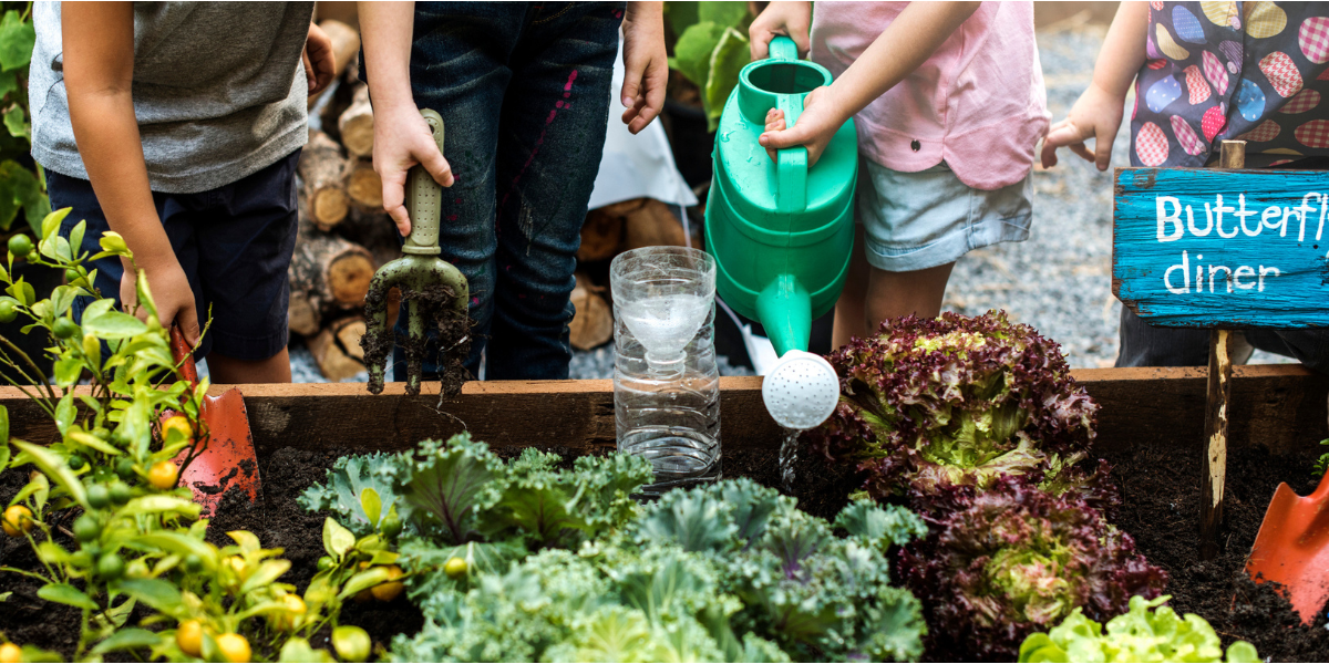 Children watering plants